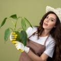 Why Eco-Friendly Cleaning is the Future: Benefits for You and the Planet